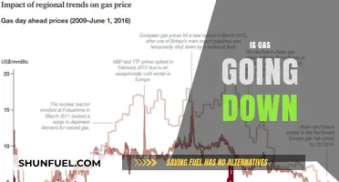 Is Gas Going Down? Analyzing Fuel Price Trends and Future Predictions