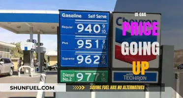 Rising Gas Prices: Causes, Impact, and Future Predictions for Drivers
