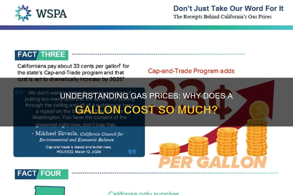 is gas price per gallon