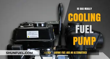 Is Gas a Cooling Fuel Pump Myth or Fact?