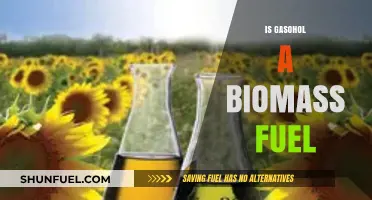 Gasohol: A Biomass Fuel Alternative for Sustainable Energy?