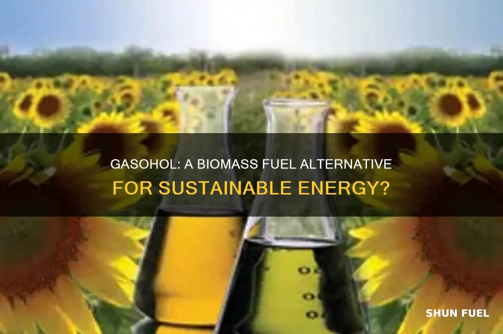 is gasohol a biomass fuel