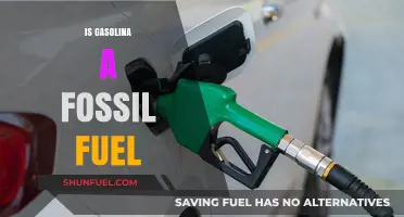 The Truth About Gasolina: Fossil Fuel or Not?