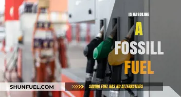 The Truth About Gasoline: Fossil Fuel or Not?