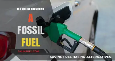 The Evolution of Gasoline: Fossil Fuel's Future