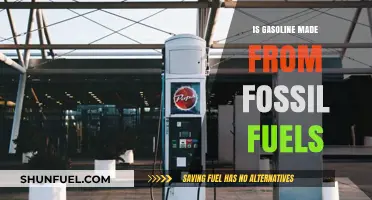 The Evolution of Gasoline: Fossil Fuel Origins