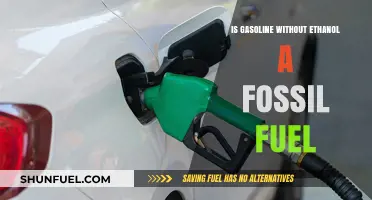 Ethanol-Free Gasoline: Still a Fossil Fuel?