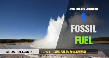 Geothermal Energy: Fossil Fuel Alternative?