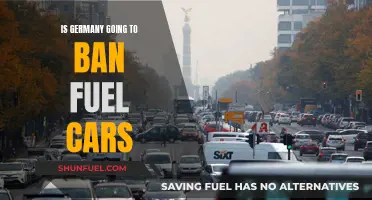 Germany's Fuel Car Ban: What's the Plan?