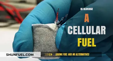Glucose as Cellular Fuel: Powering Life's Essential Processes