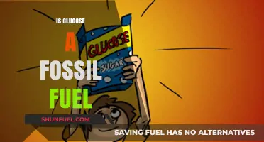 Glucose and Fossil Fuels: What's the Connection?
