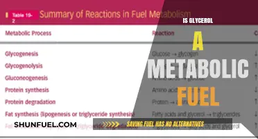 Glycerol as Metabolic Fuel: Unlocking Energy Potential and Benefits