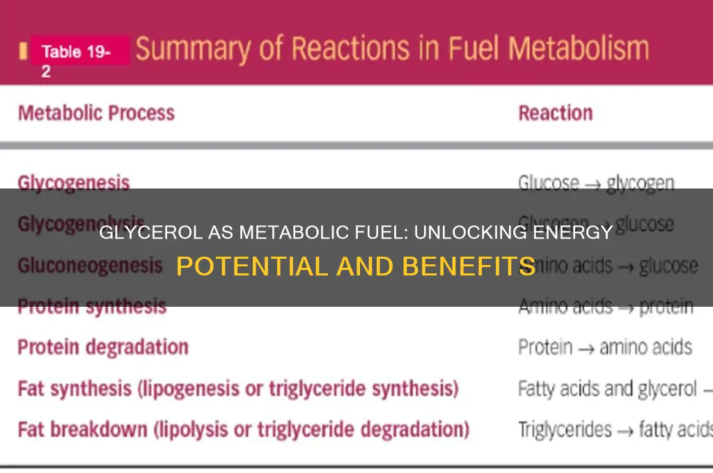 is glycerol a metabolic fuel