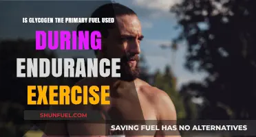 Glycogen's Role: Primary Fuel for Endurance Exercise Performance Explained