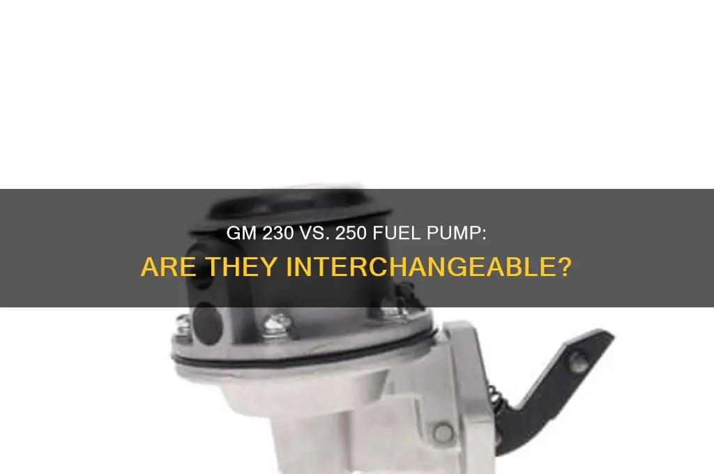 is gm 230 and 250 fuel pump the same