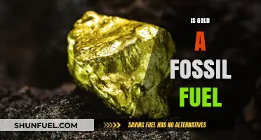 Gold and Fossil Fuels: Any Connection?