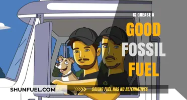 Grease: A Viable Fossil Fuel Alternative?