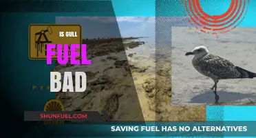 Is Gull Fuel Harmful? Debunking Myths and Environmental Concerns