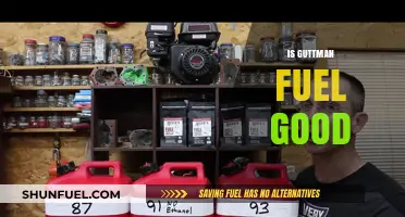 Is Guttman Fuel Good? A Comprehensive Review and Analysis