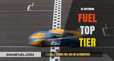 Is Guttman Fuel Top Tier? A Comprehensive Performance Review