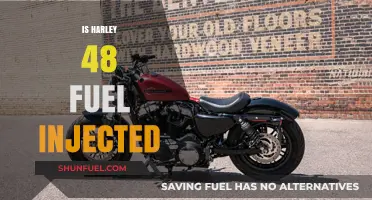 Harley 48 Fuel Injection: Unveiling the Truth Behind the System