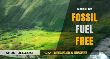Hawaii's Fossil Fuel Free Future: What's the Reality?