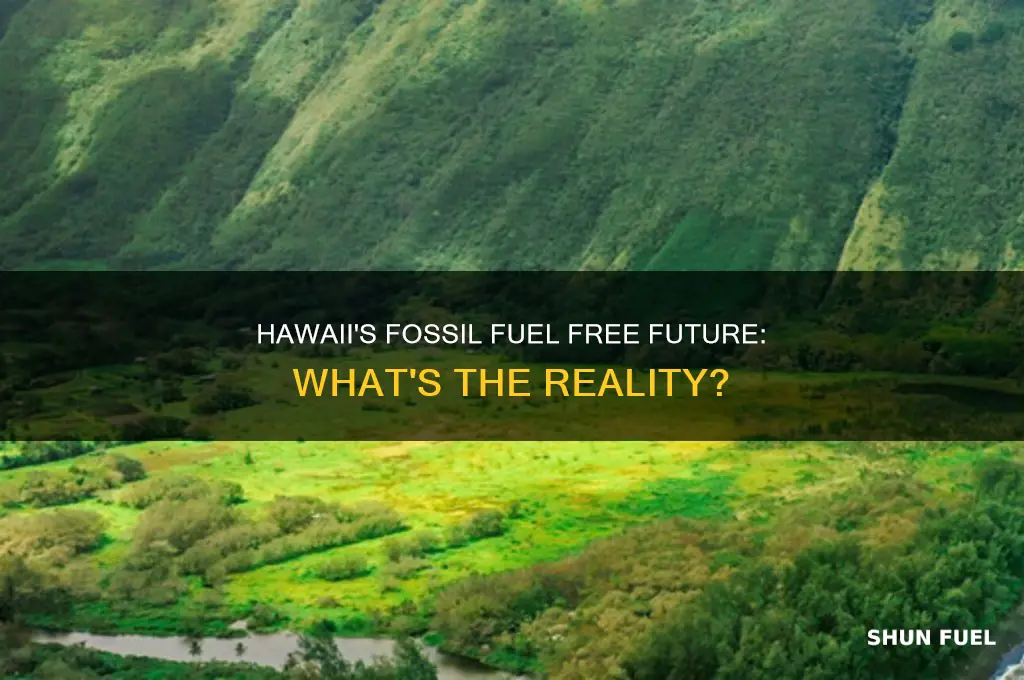is hawaii 100 fossil fuel free