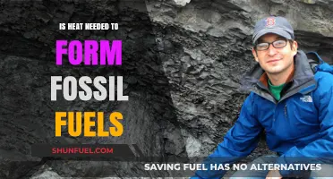 How Fossil Fuels Form: The Heat Equation
