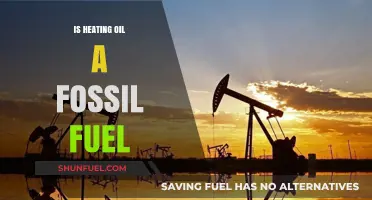 Heating Oil's Fossil Fuel Origins: What You Need to Know