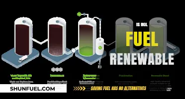 Is HGL Fuel Renewable? Exploring Its Sustainability and Future Potential