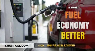 Higher Fuel Economy: A Blessing or Hidden Curse for Drivers?