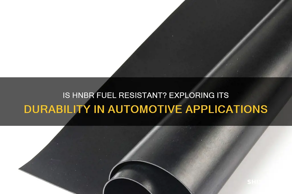 is hnbr fuel resistant