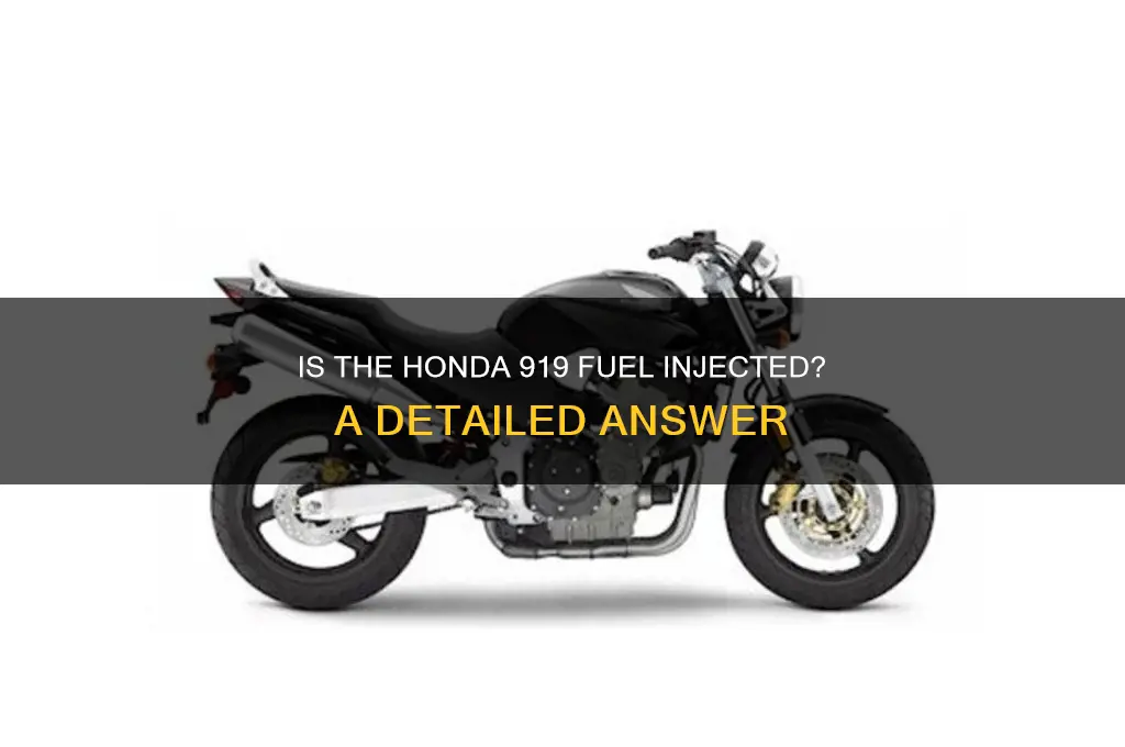 is honda 919 fuel injected