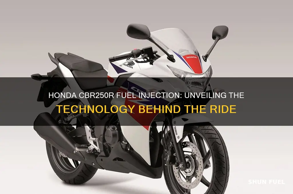 is honda cbr250r fuel injected