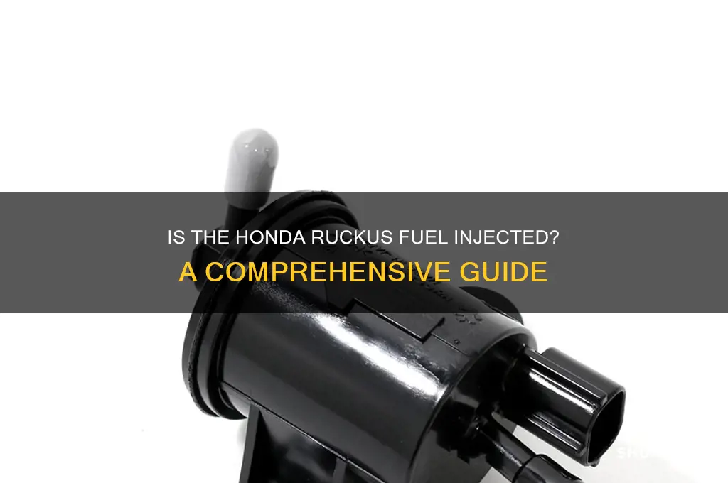is honda ruckus fuel injected