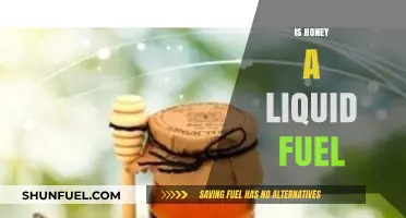 Exploring Honey's Potential as a Sustainable Liquid Fuel Source