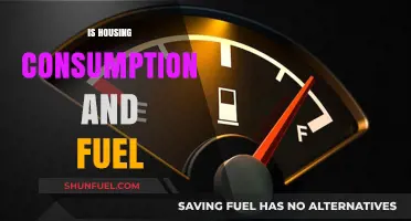 Housing, Fuel, and Consumption: Exploring the Interconnected Impact on Daily Life