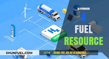 Hydrogen Fuel: A Sustainable Energy Resource for the Future?