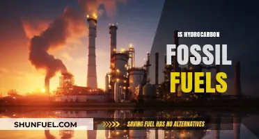 Hydrocarbons: The Fossil Fuel Conundrum