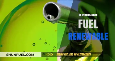 Hydrocarbon Fuel: Renewable Resource or Finite Energy Source?