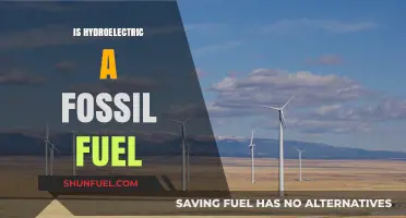 Hydroelectric Power: Fossil Fuel Alternative?