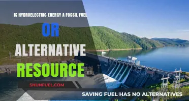Hydroelectric Energy: Fossil Fuel or Alternative Resource?