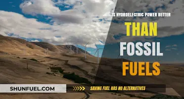 Hydroelectric Power: A Greener Energy Alternative?