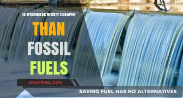 Hydroelectricity: Cheaper Energy Source Than Fossil Fuels?