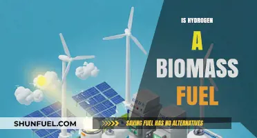 Is Hydrogen a Biomass Fuel? Exploring Its Renewable Energy Potential