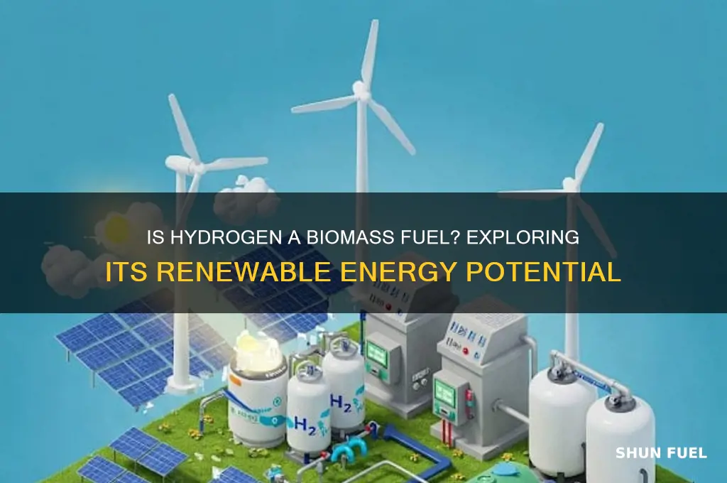 is hydrogen a biomass fuel