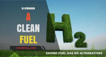 Hydrogen Fuel: Clean Energy Solution or Environmental Dilemma?