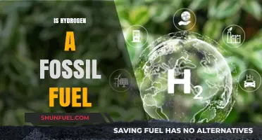Hydrogen Energy: Fossil Fuel or Renewable?