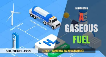 Hydrogen as a Gaseous Fuel: Properties, Uses, and Future Potential