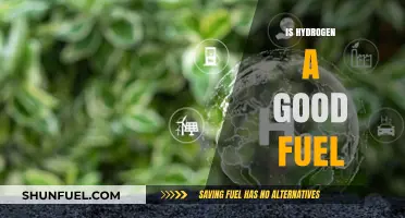 Hydrogen Fuel: Clean Energy Solution or Overhyped Alternative?